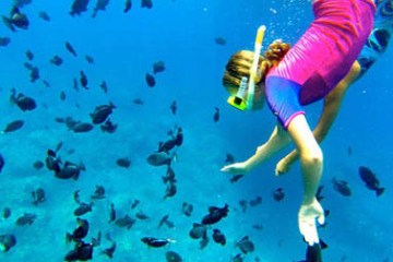 a person swimming in the water