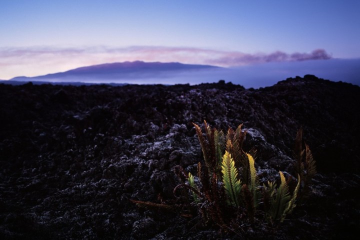 a group of clouds in the sky