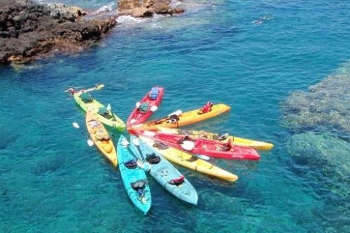 a group of people swimming in a body of water