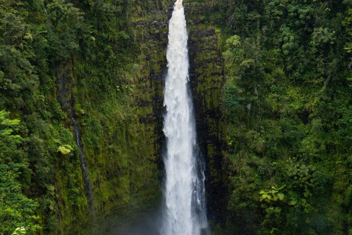 a large waterfall in a forest with Akaka Falls State Park in the background